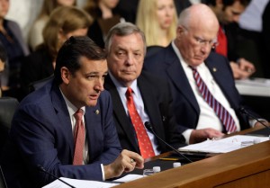 Sen. Ted Cruz (R-TX) speaks during a hearing of the Senate Judiciary Committee July 24, 2013 in Washington, DC (AFP Photo / Win McNamee)
